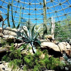 NC Zoo Sonora Desert Dome